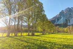 ©Fürsterhof