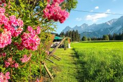 ©Fürsterhof