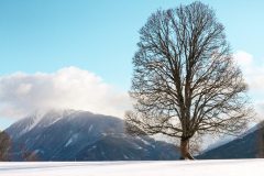 ©Fürsterhof