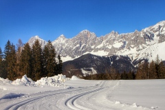 ©Fürsterhof